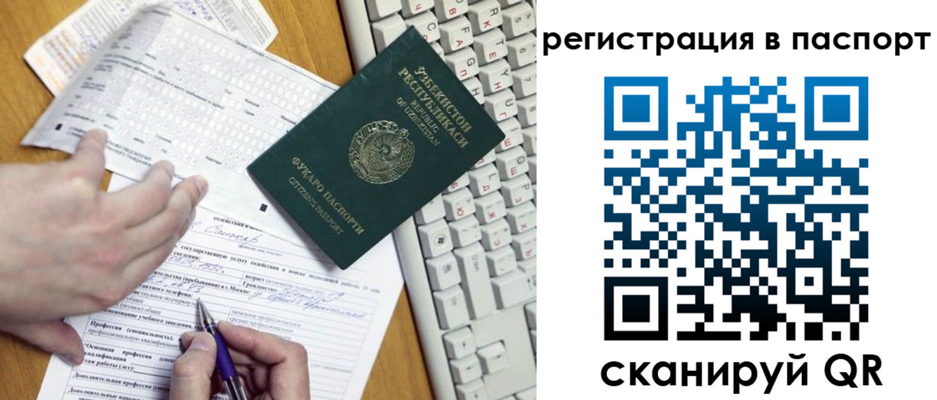 прописка поиск в Новоузенске